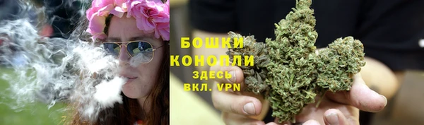 PSILOCYBIN Лабытнанги