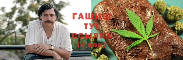 спиды Ладушкин