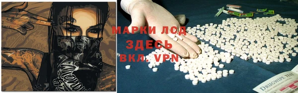 PSILOCYBIN Лабытнанги