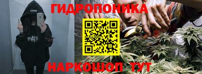 стаф Волжский