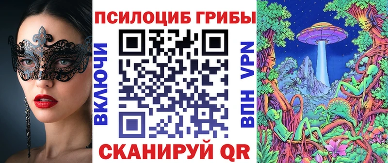 продажа наркотиков  Нарткала  МЕГА ТОР  Псилоцибиновые грибы ЛСД 