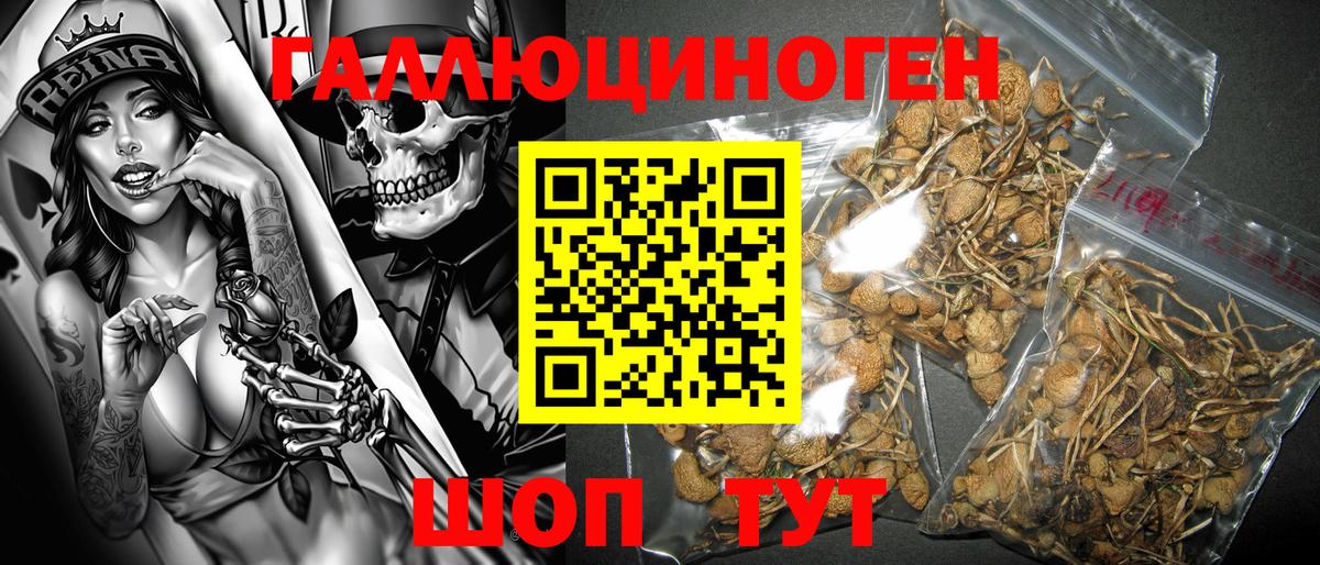 Галлюциногенные грибы GOLDEN TEACHER Нарткала